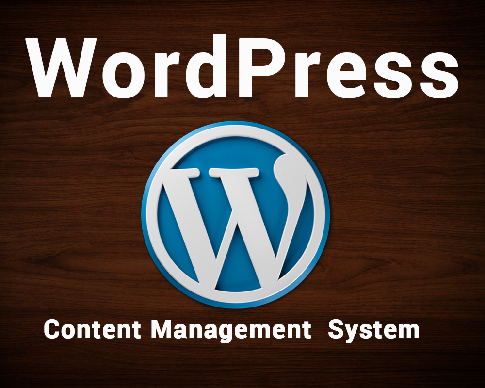 WordPress Content Management System – Flotitweb